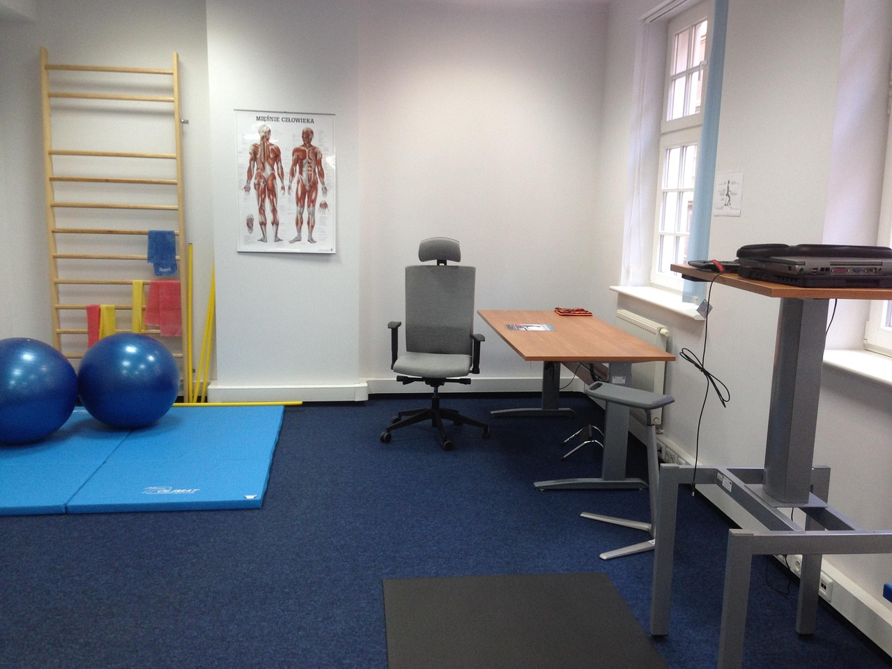 Physiotherapist providing rehabilitation treatment to a patient